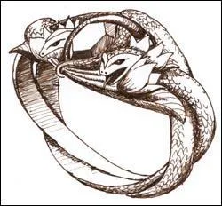 Quel est cet anneau ?