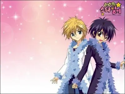 Quel est le nom de leur groupe ?