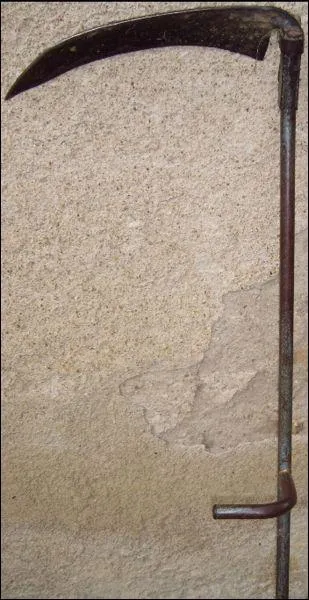  qui appartient cette faux ?