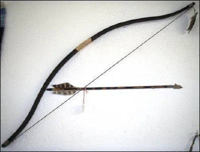  qui appartient cet arc magique ?