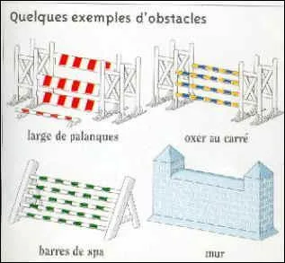 Lequel de ces obstacles ne se franchit que dans un sens ?