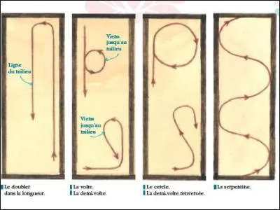 Laquelle de ces figures a un diamtre d'environ 10  20 mtres ?