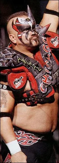 Comment s'appelle ce catcheur ?