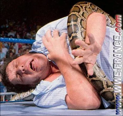 Comment s'appelle ce catcheur ?