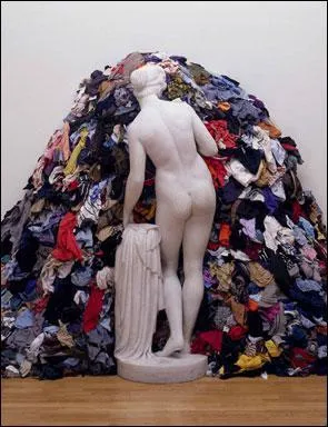 Qui a ralis cette installation dite 'Vnus aux chiffons' ?