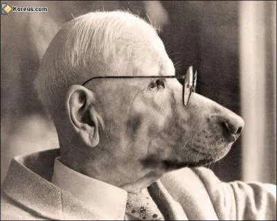 Quel est cet animal ?