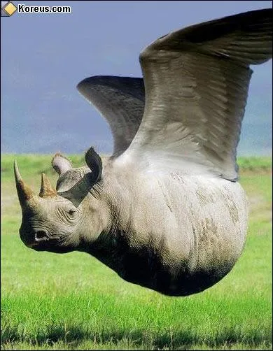 Quel est cet animal ?