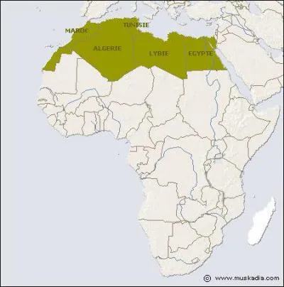 Il a pass sa prime jeunesse ... .