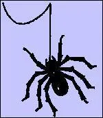 'tre piqu de la tarentule' veut dire :