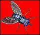 'Une fine mouche' dsigne...