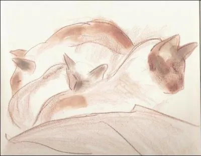 Tente dans sa jeunesse par la peinture, Highsmith dessinera pour son plaisir toute sa vie durant. Elle illustrera mme, en 1958, un livre pour enfants. Quel en est le titre ?