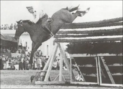 Quel cheval a saut en CSO 2m47 ?