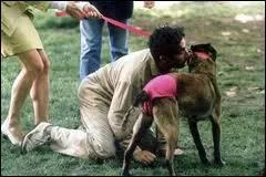 Dans un film de 1997 ralis par lui-mme, Alain Chabat devient un chien :