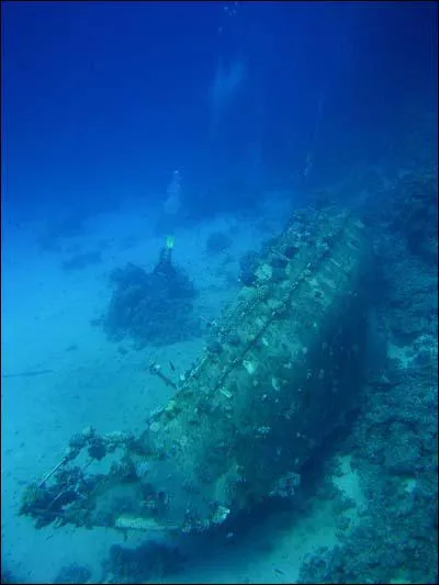 Que contenaient les bouteilles d&eacute;couvertes dans une &eacute;pave en mer Baltique en 2010 ?