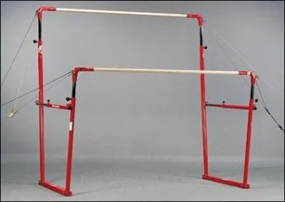 Comment s'appelle cet agrs ?