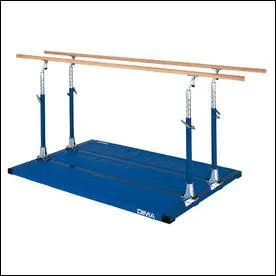 Comment s'appelle cet agrs ?