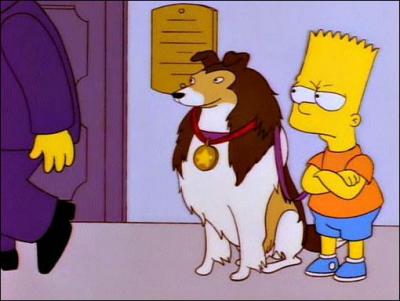 C'est un colley, superchien, version mle de Lassie, proprit de Bart ; ce dernier en fit cadeau  la police de Springfield.