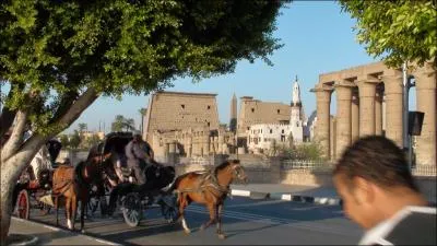 Louxor vient de l'arabe el-Qsor, pluriel de el-Qasr qui signifie ?