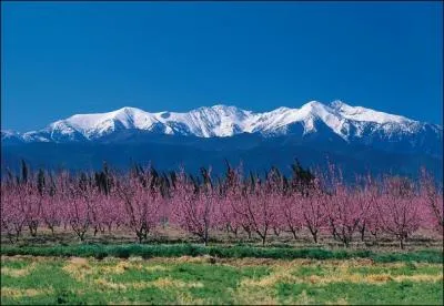 De quelle chaîne de montagnes le massif du Canigou fait-il partie ?