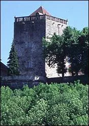 Quel est ce dernier vestige du chteau des comtes de Champagne construit entre le XIe et XIIe sicle, transform en prison jusqu'en 1866 ?