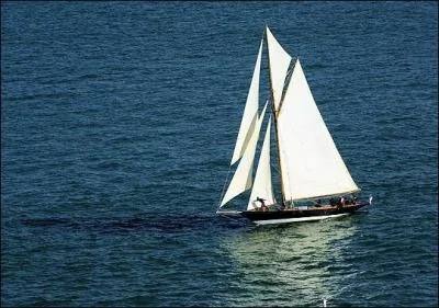 Parmi ces pripties dans les mers du Sud, laquelle NE concerne PAS les Stevenson ?