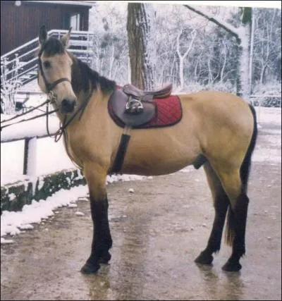 Quelle est cette couleur ?