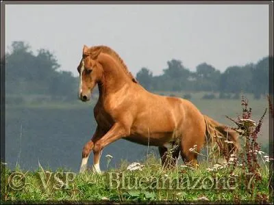 Quelle est cette couleur ?