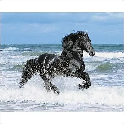 Quelle est cette couleur ?