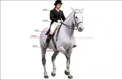 Le poids du corps permet de :