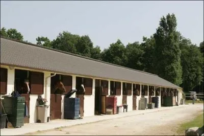 Vrai ou Faux ? Peut-on ouvrir la porte en grand pour aborder un cheval dans un box.