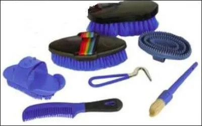 Quels sont les instruments d'un pansage lmentaire ?