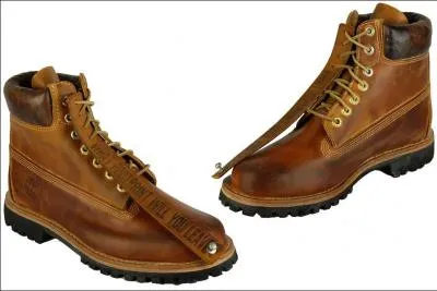 Il devait tre un film reboot mais en fait non mais bon on n'en est pas sr enfin bref on verra bien...