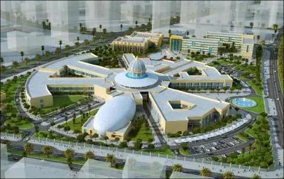 Quelle ville des Emirats arabes unis accueille une antenne de la Sorbonne ?