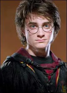 Qui a mis le nom de Harry dans la coupe ?