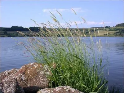 En Haute-Loire, le lac de Saint-Front est aliment par des sources souterraines. Ancien cratre volcanique il est la source de la Gagne, affluent rive droite de la :