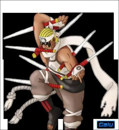 Qui est Killer Bee ?