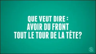 Tabarnak ! Tsé qu'elle a le ''front tout le tour de la tête'' !