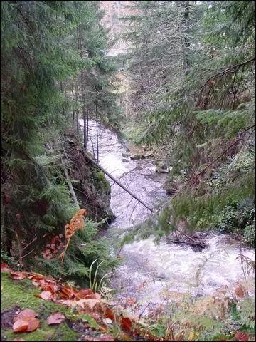 Elle prend sa source prs de la Schlucht et traverse les lacs de Retournemer et de Longemer. C'est un affluent de la Moselle rendu tristement clbre dans les annes 80 par la mort d'un enfant. C'est