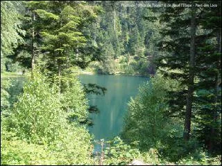 Il s'agit d'un des derniers lacs glaciaire des Vosges. Une lgende dit que des villageois occups  danser n'entendirent pas la cloche les appelant  la messe et furent engloutis dans ses eaux. C'est