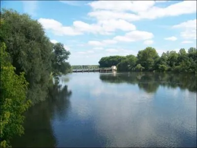 Ce cours d'eau prend sa source au pied des Monts Faucilles, dans le dpartement des Vosges. Affluent du Rhne de 480 km de longueur il s'agit :