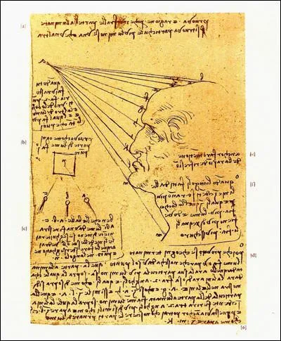 Lonard a la manie de noter tout ce qui lui passe par la tte dans des carnets. Combien de pages a-t-il ainsi noircies ?