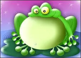 Que signifie : Bofi ?