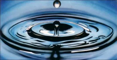 A quelle saison appartient l'lment de l'eau ?