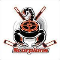 Quelle quipe porte ce logo ?