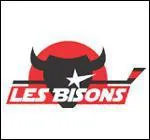 Quelle quipe porte ce logo ?