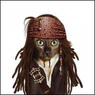 Ce chat se prend pour un personnage du film   Pirates des Caraïbes . Quel est son nom ?
