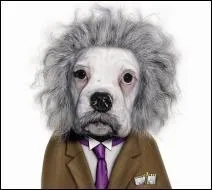 Ce chien se prend pour un grand savant. Quel est son nom ?