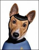 Ce chien se prend pour un personnage de la série  Star Trek . Quel est son nom ?