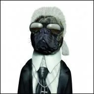 Ce chien se prend pour un grand couturier. Quel est son nom ?