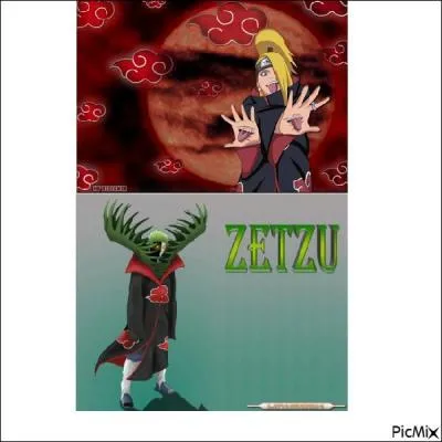 Quels sont les pays de ces ninjas ?